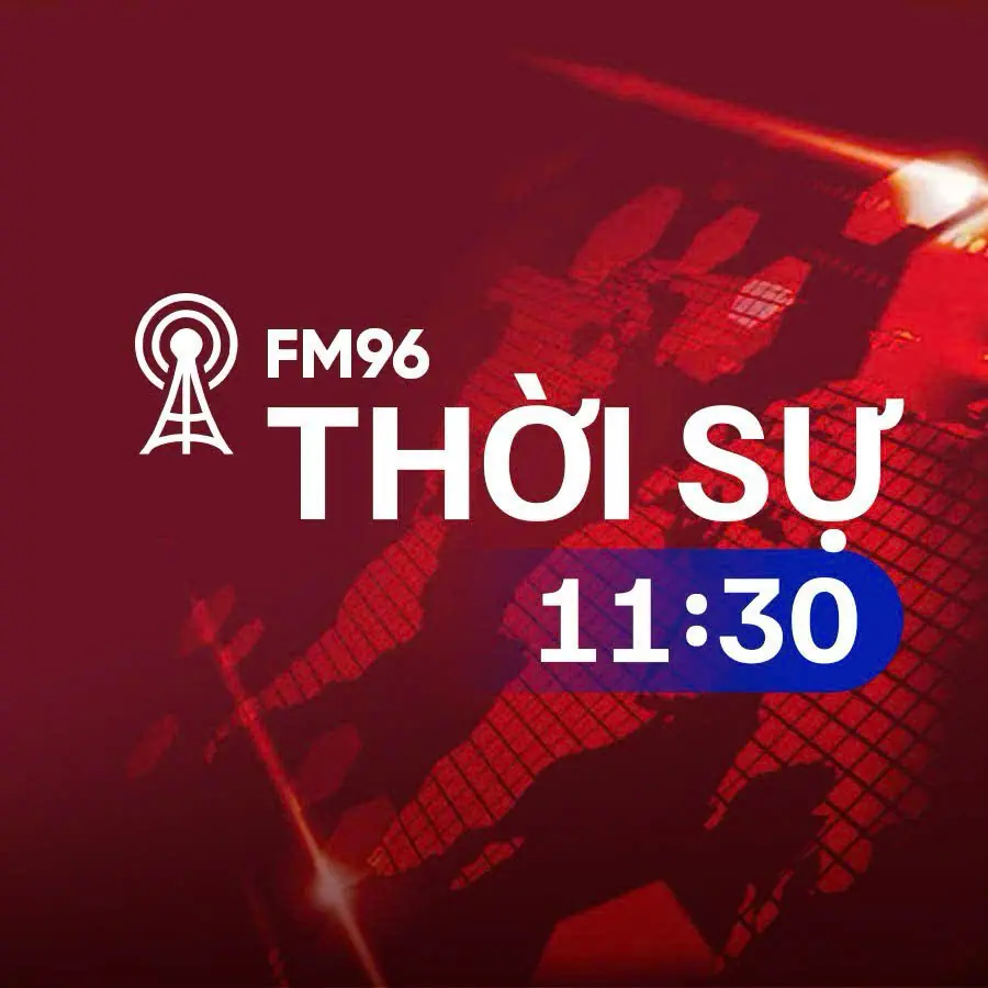 Thời sự 11h30 | 08/11/2025